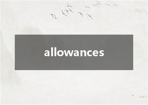 allowances是什么意思