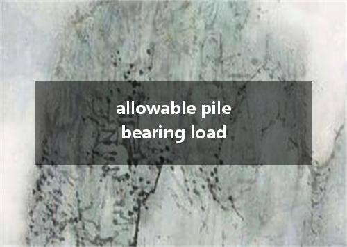 allowable pile bearing load是什么意思