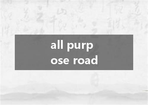 all purpose road是什么意思