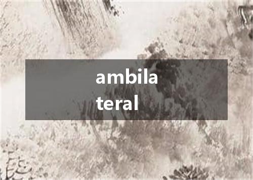 ambilateral是什么意思