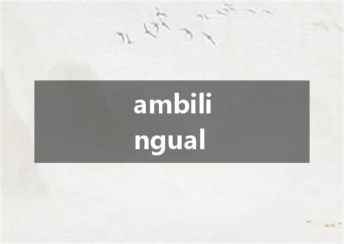 ambilingual是什么意思