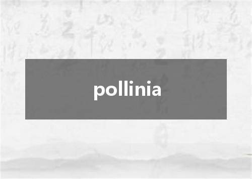 pollinia是什么意思