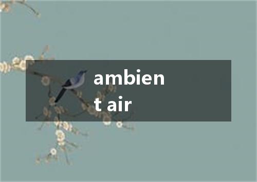 ambient air是什么意思