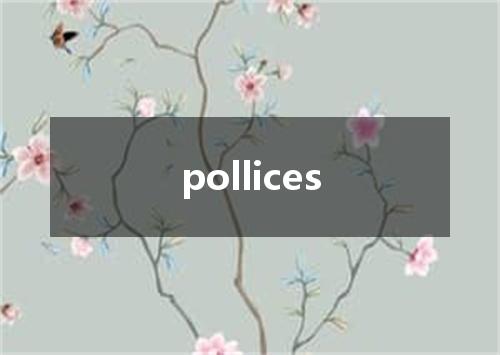 pollices是什么意思