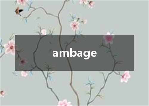 ambage是什么意思