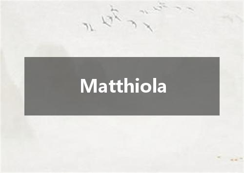 Matthiola是什么意思