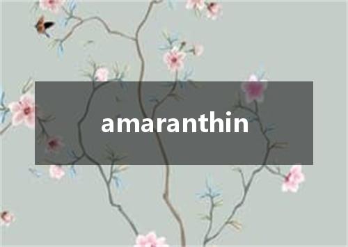 amaranthin是什么意思