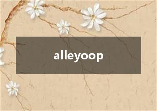 alleyoop是什么意思