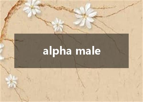 alpha male是什么意思