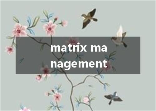 matrix management是什么意思