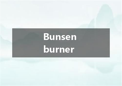 Bunsen burner是什么意思