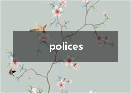 polices是什么意思