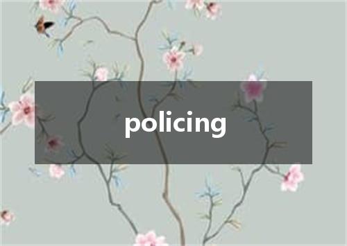 policing是什么意思