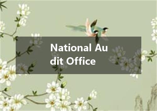 National Audit Office是什么意思