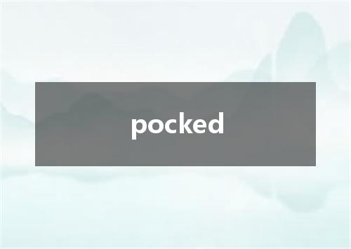 pocked是什么意思