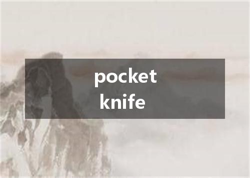 pocket knife是什么意思