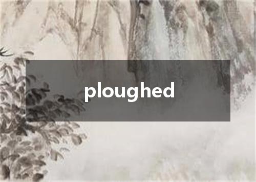 ploughed是什么意思