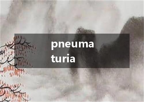 pneumaturia是什么意思