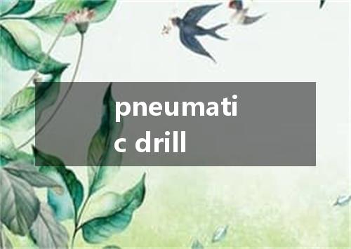 pneumatic drill是什么意思