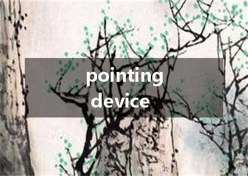 pointing device是什么意思