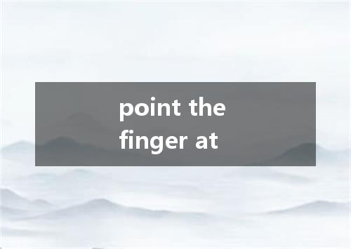 point the finger at是什么意思