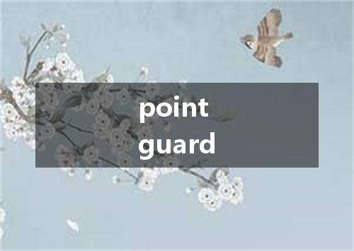 point guard是什么意思
