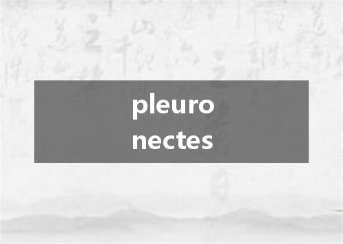 pleuronectes是什么意思