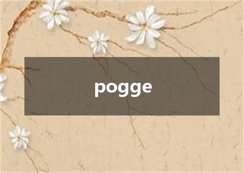 pogge是什么意思