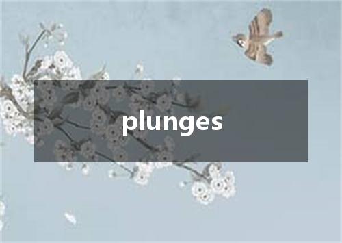 plunges是什么意思