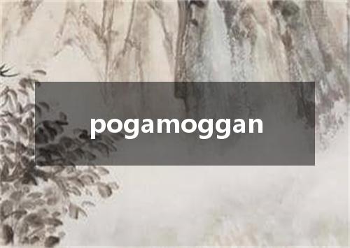 pogamoggan是什么意思