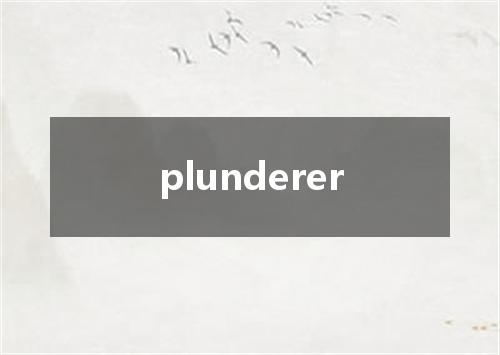 plunderer是什么意思