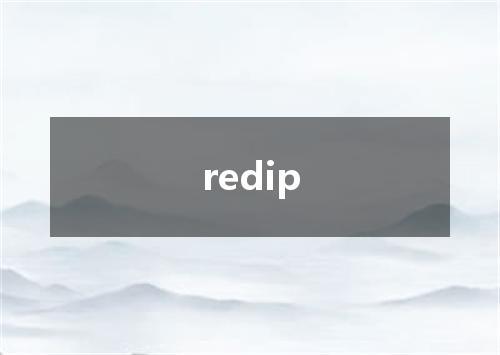 redip是什么意思