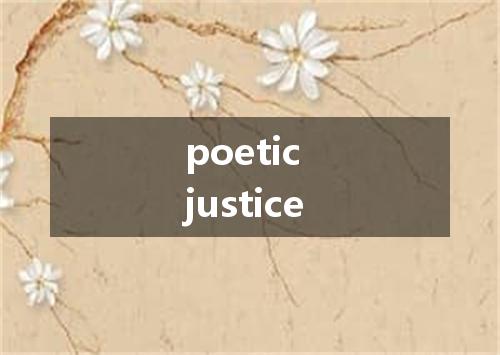 poetic justice是什么意思