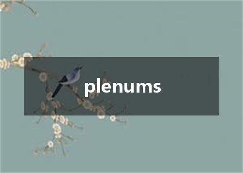 plenums是什么意思