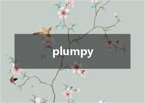 plumpy是什么意思