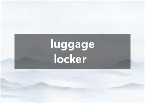 luggage locker是什么意思