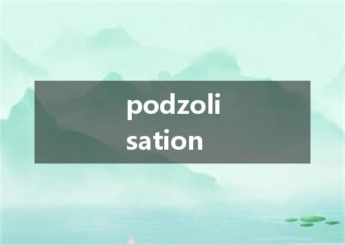 podzolisation是什么意思
