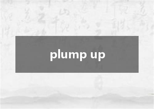 plump up是什么意思