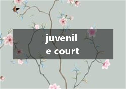 juvenile court是什么意思