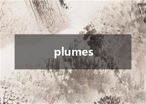 plumes是什么意思