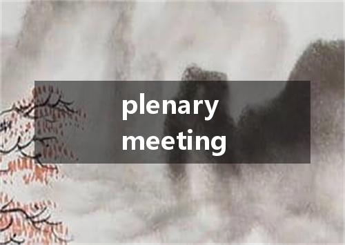 plenary meeting是什么意思