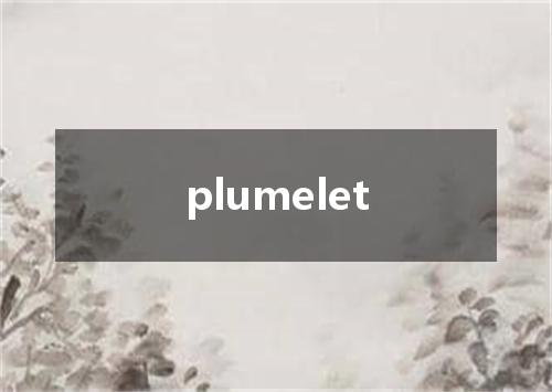 plumelet是什么意思