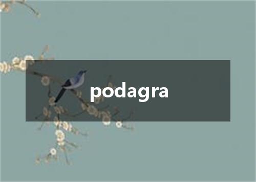podagra是什么意思