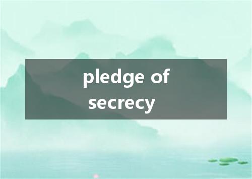 pledge of secrecy是什么意思
