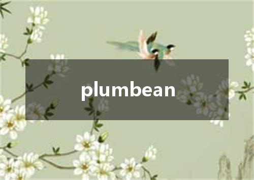plumbean是什么意思