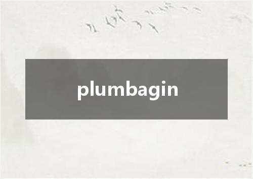 plumbagin是什么意思