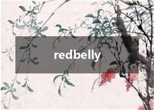 redbelly是什么意思