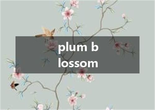 plum blossom是什么意思