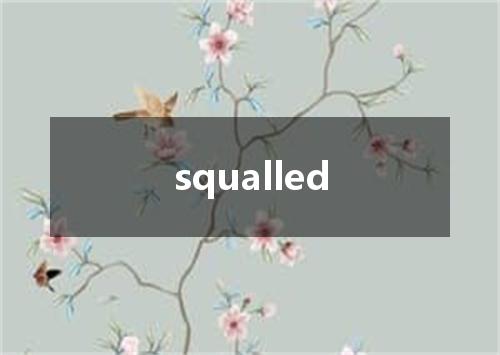 squalled是什么意思