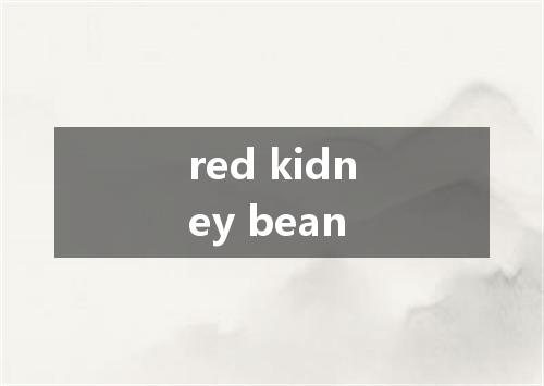 red kidney bean是什么意思